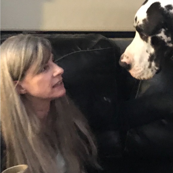 Meet your Posher, Jill - Picture 6 of 10